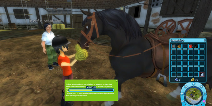 Jouer à Star Stable