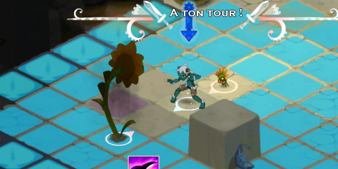 Jouer à Wakfu