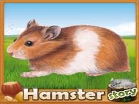 Jouer à HamsterStory