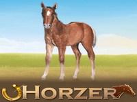 Horzer