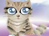 Shiny catz