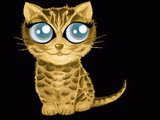Jouer &agrave; Shiny catz