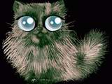 Jouer &agrave; Shiny catz