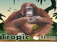 Jouer à Tropicstory