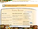 Copie d'écran du jeu Nutsy